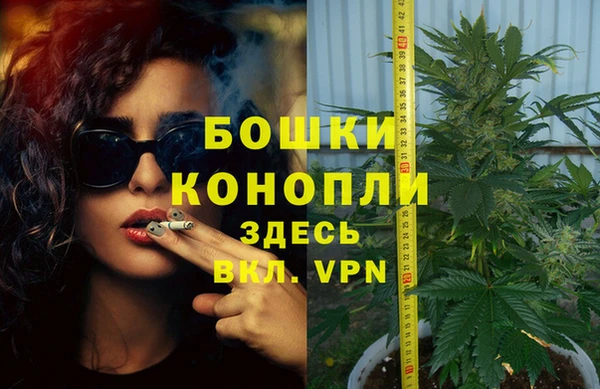трава Мегион
