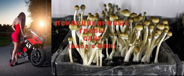 трава Мегион