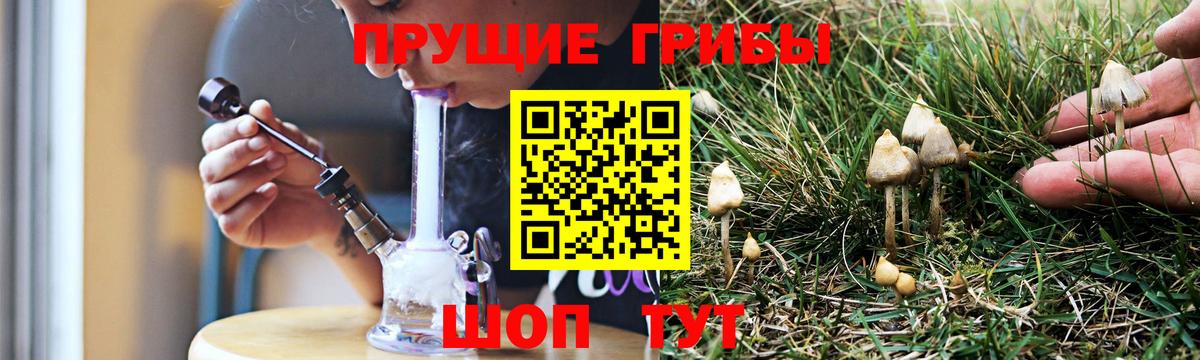 Галлюциногенные грибы Psilocybine cubensis  Псилоцибиновые грибы GOLDEN TEACHER  Вход с VPN  Нижневартовск 